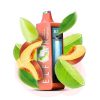 Elfbar Planet 25000 Puffs Disposable Vape Double Peach Lime