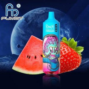 RandM Tornado 9000 Puffs Disposable Vape - Strawberry Watermelon